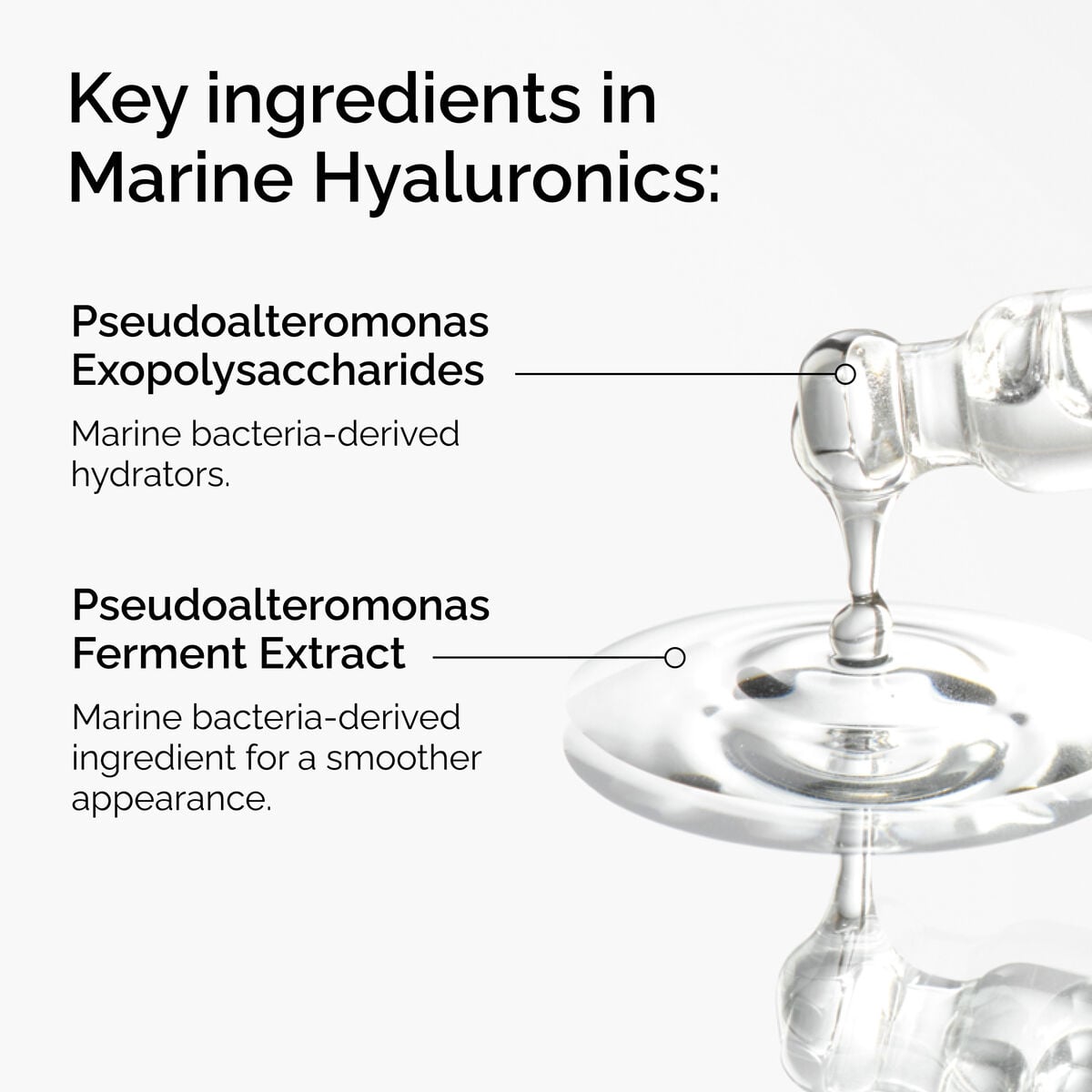 marine-hyaluronics-o1 FY25-D41247-ORD-Web-PDP-Marine-Hya-1x1-EN-2a.jpg
