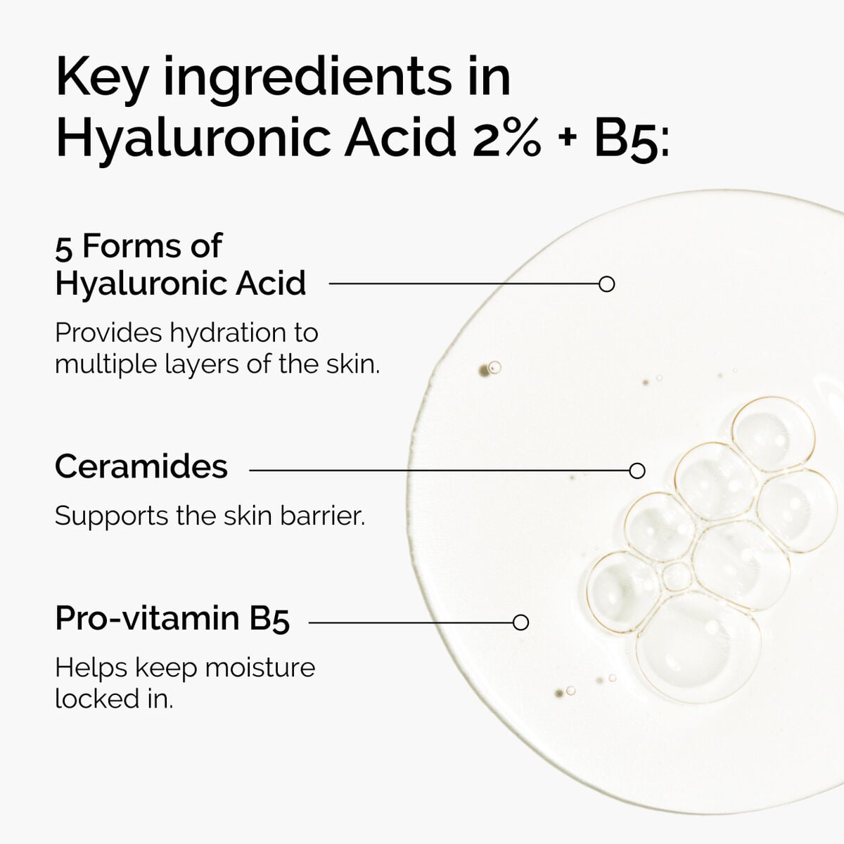 hyaluronic-acid-2-b5-with-ceramides-n3 ord-hyaluronic-acid-2pct-b5-hydrating-serum-ingredients-graphic.jpg