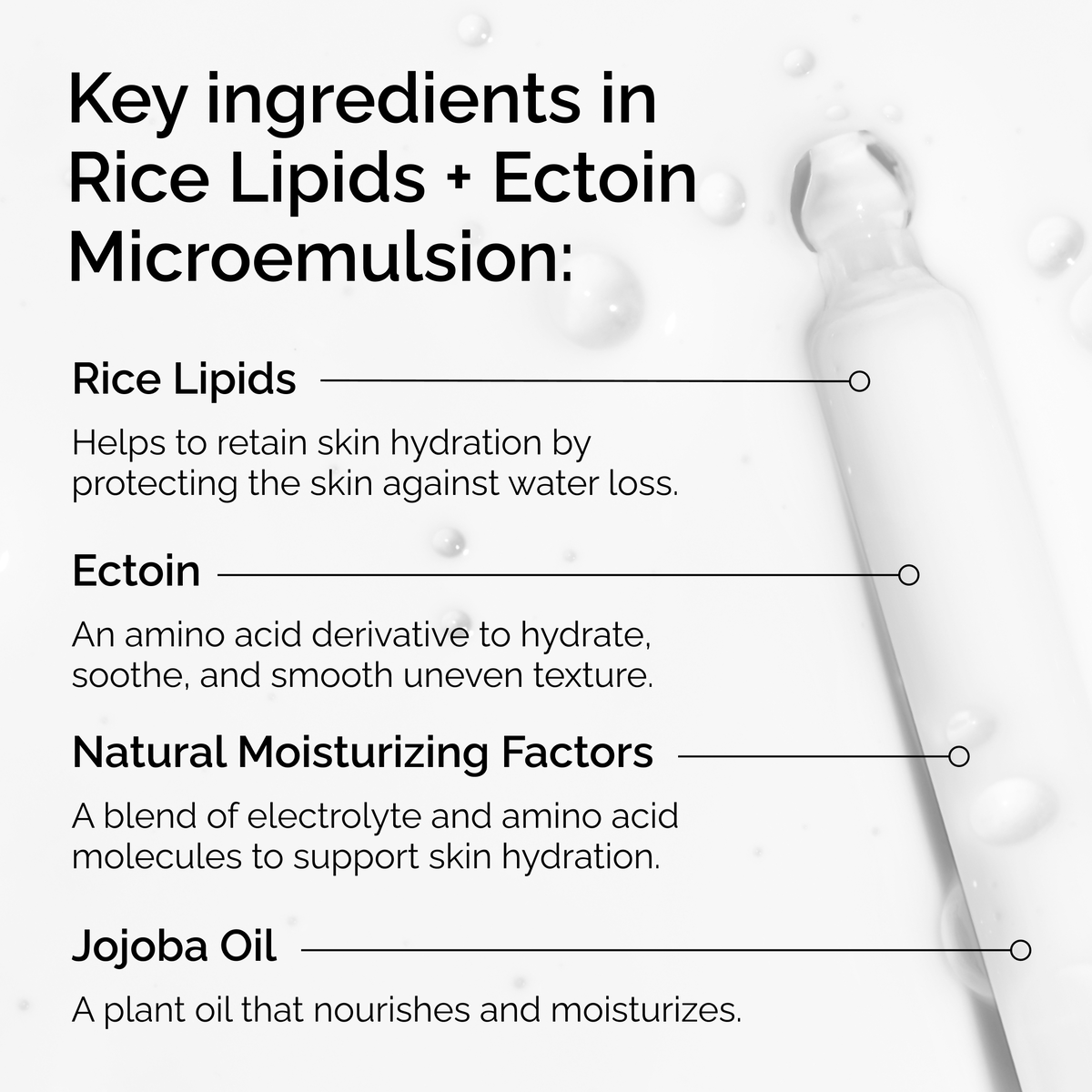 rice-lipids-ectoin-microemulsion-v4 ord-rice-lipids-ectoin-microemulsion-key-ingredients.png