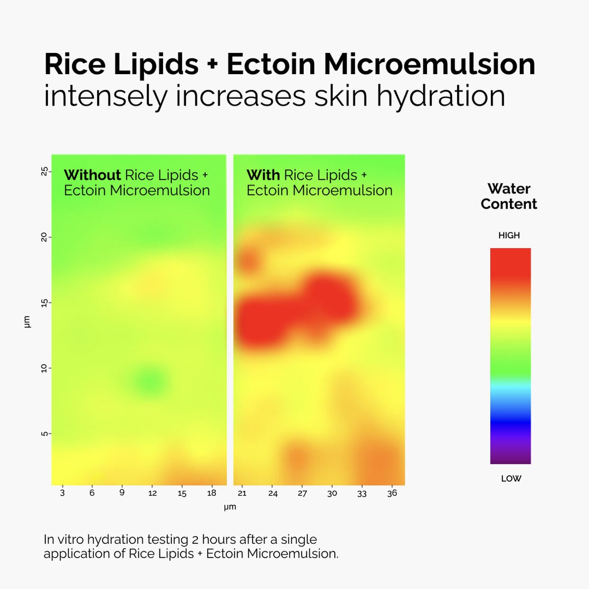 rice-lipids-ectoin-microemulsion-v4 ord-rice-lipids-ectoin-microemulsion-thermal-before-after.jpg